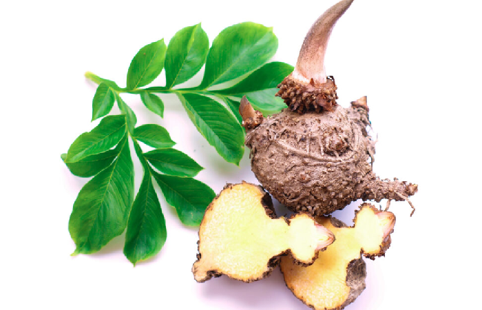 Glucomannan.png