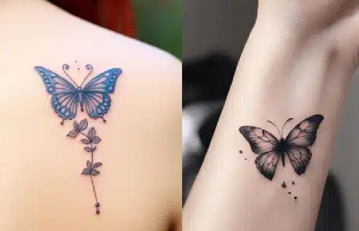 Butterfly.png