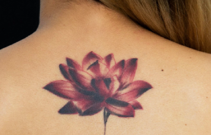 Lotus flower.png