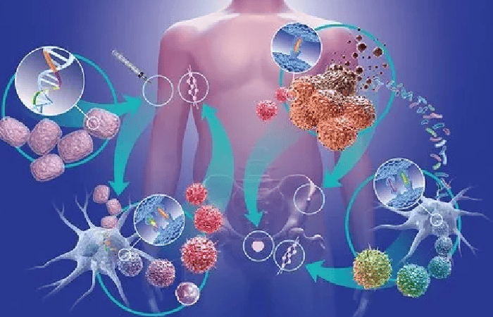 Can Immunotherapy Cure Stage 4 Cancer? A Comprehensive Analysis